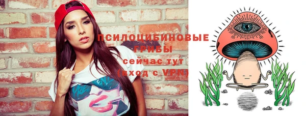 2c-b Белокуриха