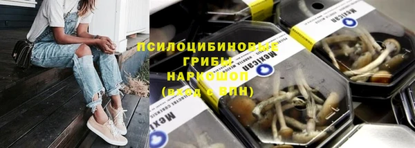 2c-b Белокуриха