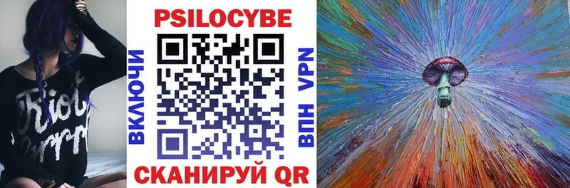 Купить  Надым  Галлюциногенные грибы Psilocybine cubensis 